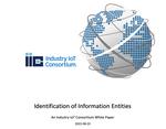Identification of Information Entities